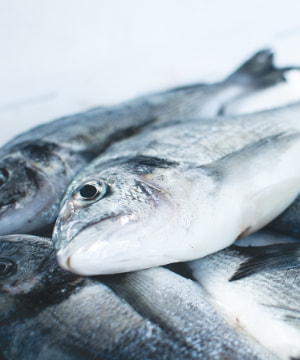 Parlementscommissie: Geen Brexitakkoord zonder visserij