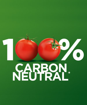 Azura Groep: Eerste tomatenproducent 100% CO₂-neutraal
