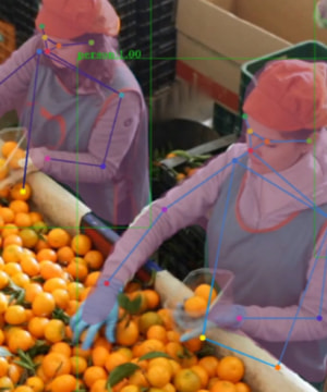 Robots vergroten de waarde van verse groenten en fruit
