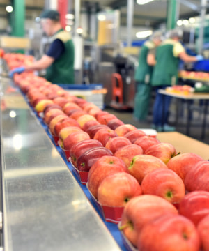 Omzet foodindustrie 3,7% lager in eerste kwartaal 2021