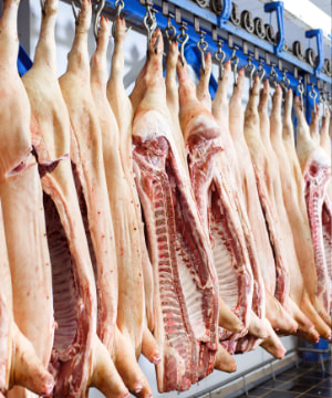 vleesindustrie levert 7,7% meer varkensvlees