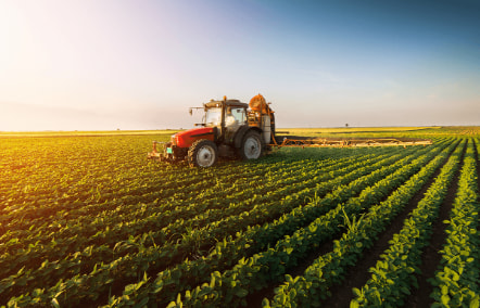 Staat van Landbouw en Voedsel: Trends in agrosector stabiel